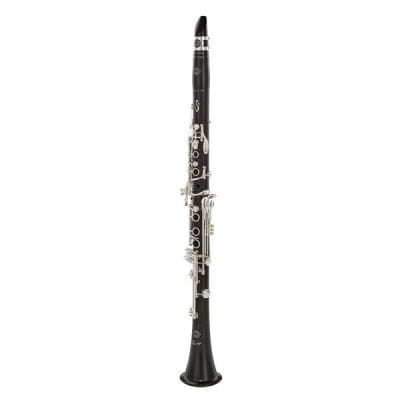 selmer-privilege