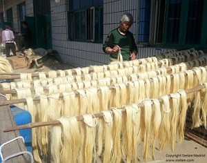 Arcușul și părul de cal – tot ce trebuie să știe un violonist - Eufonia Music Store