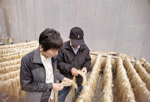 Arcușul și părul de cal – tot ce trebuie să știe un violonist - Eufonia Music Store